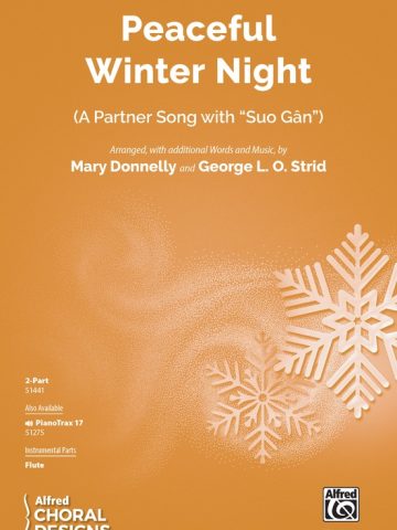 Peaceful Winter Night