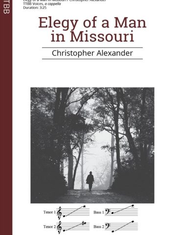 Elegy of a Man in Missouri